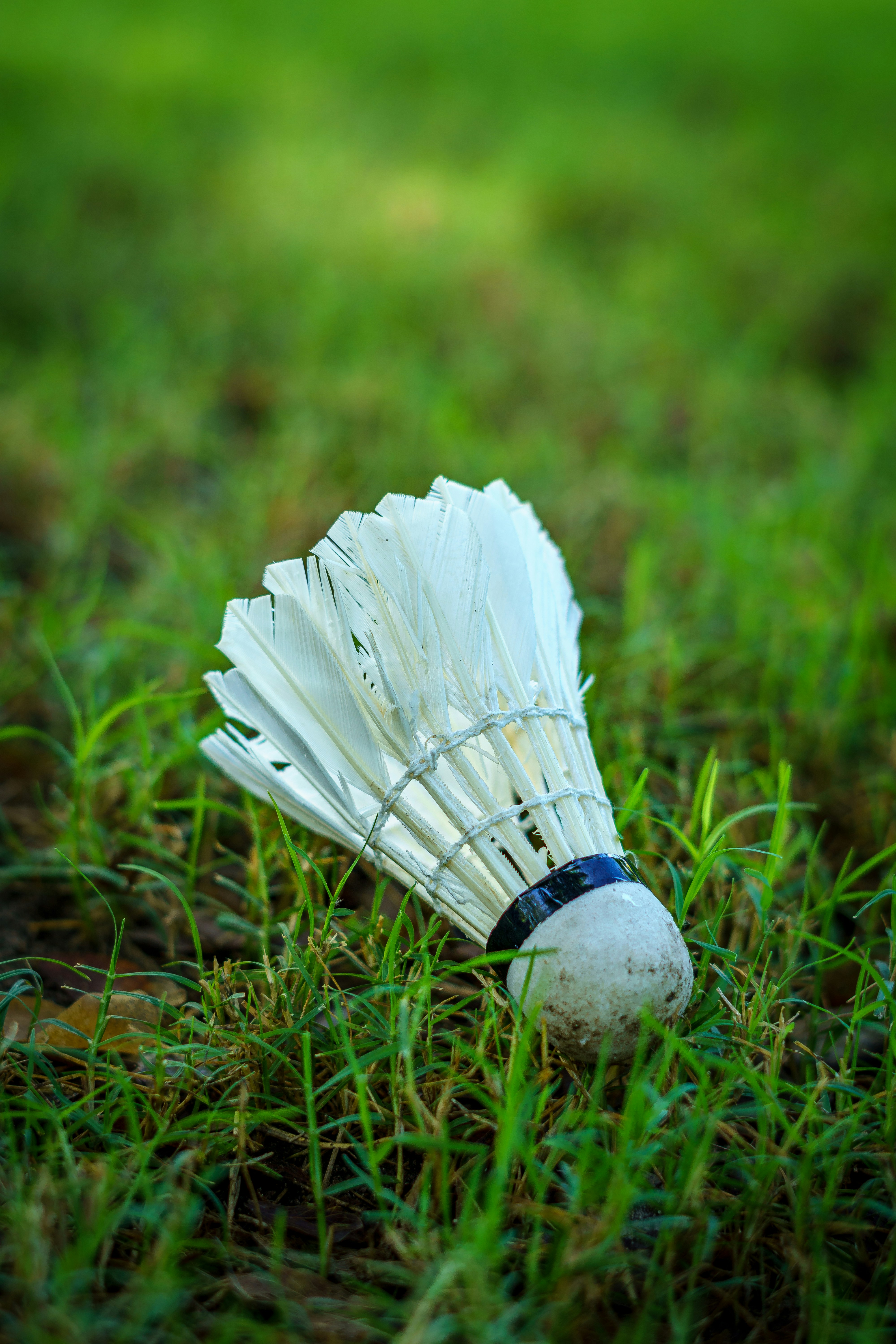 Badminton players in action